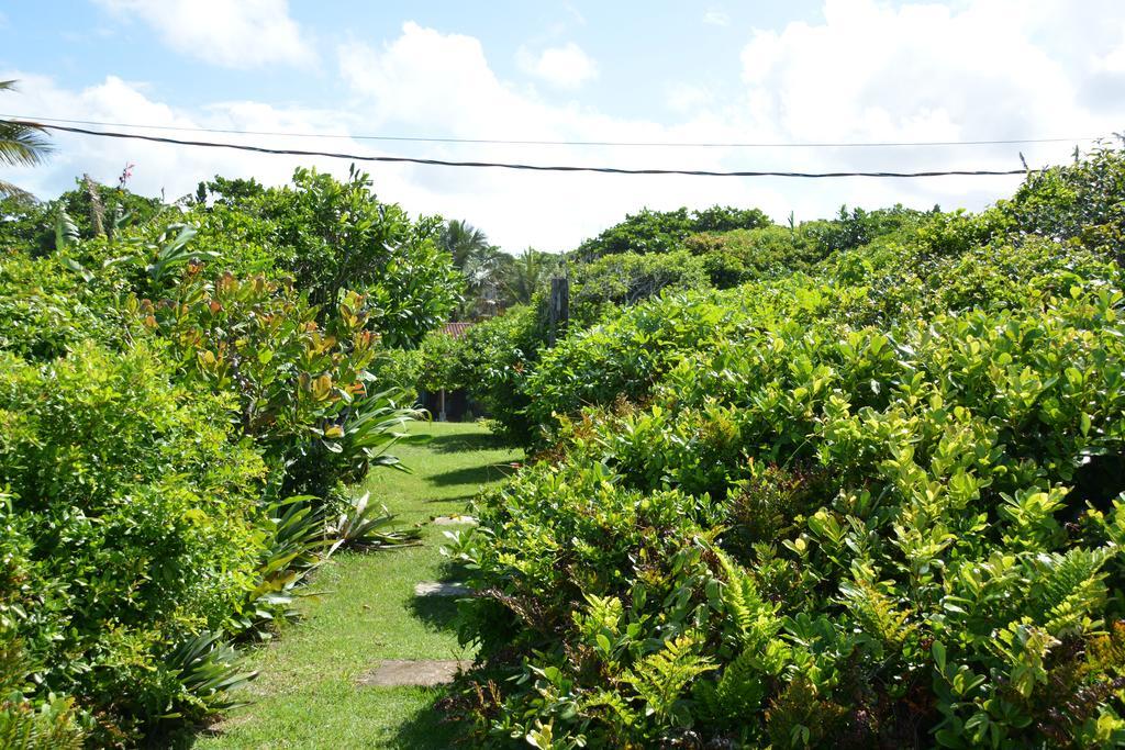 Casa Da Ilha Do Mel - Pousada De Charme Buitenkant foto